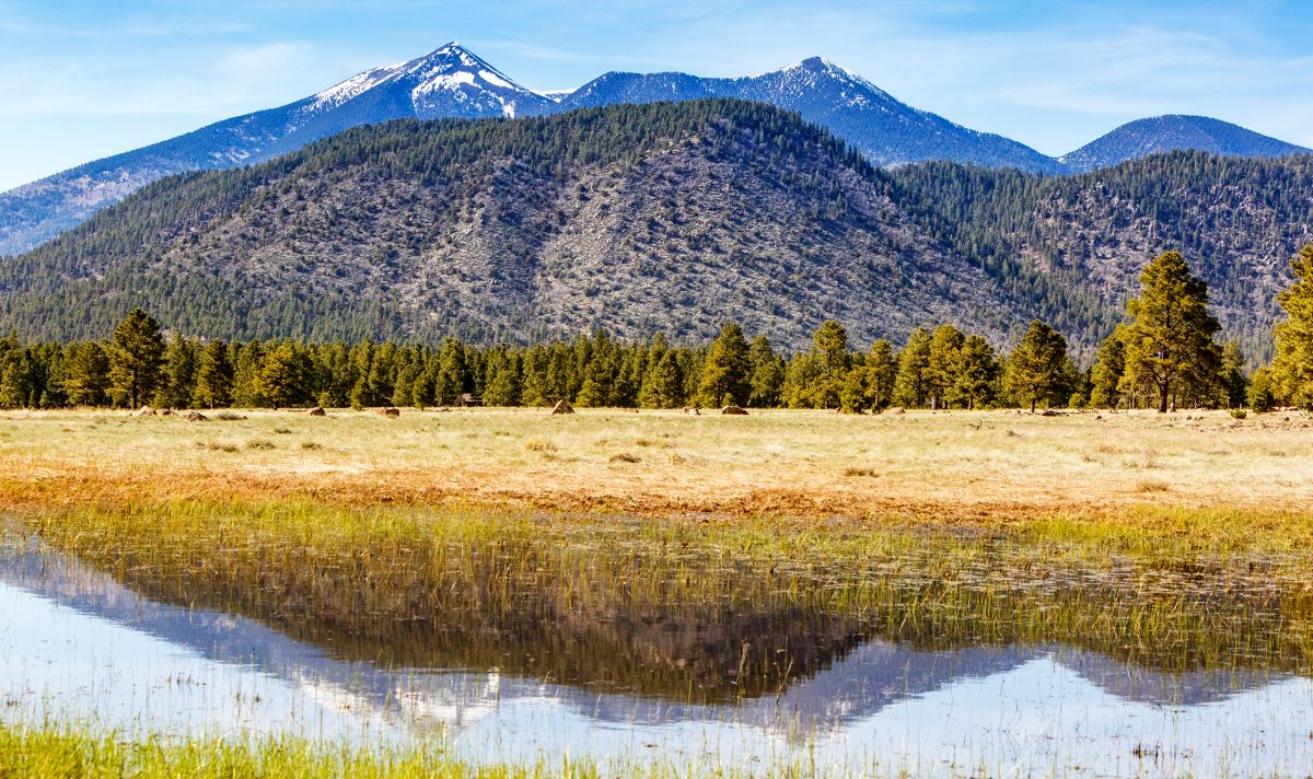 flagstaff-arizona-mountains-reflected-in-water-2022-06-17-03-13-52-utc